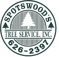 Spotswood Tree Service