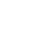 spotswoodstreeservice logo white