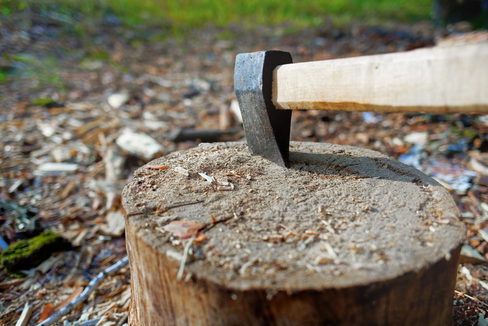 How Long Does Stump Grinding Take