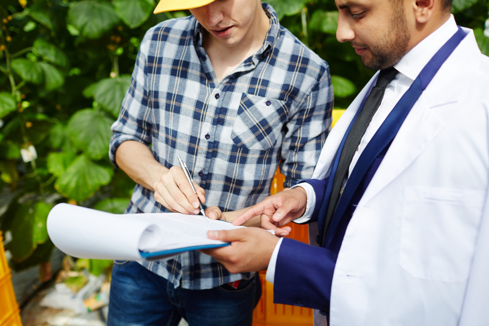How a Tree Risk Assessment in Fairhope Can Save You From a Costly Insurance Claim