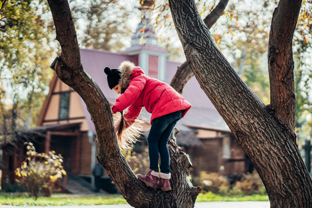 What Daphne Homeowners Should Do When a Tree Is Too Close to the House