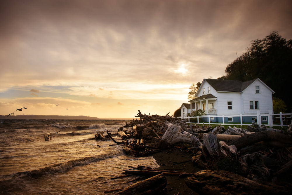 Why Fairhope Homeowners Should Never Leave a Stump in Sandy Coastal Soil