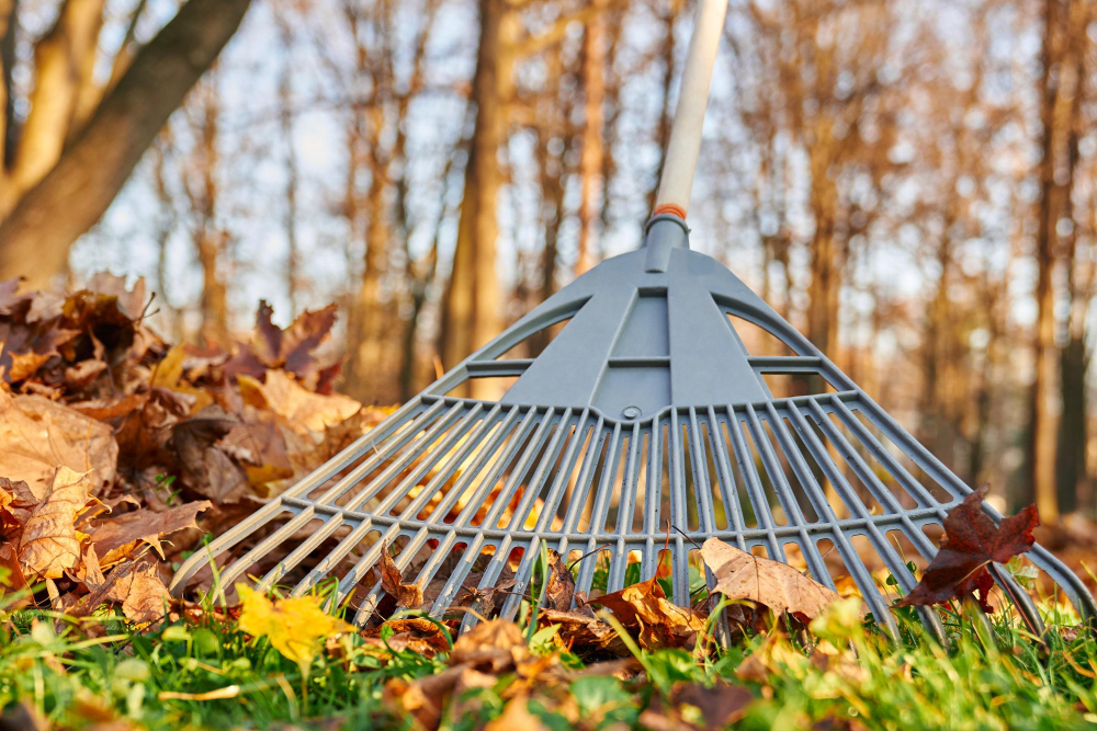 Brush & Yard Debris Removal Clearing Storm & Overgrowth Debris