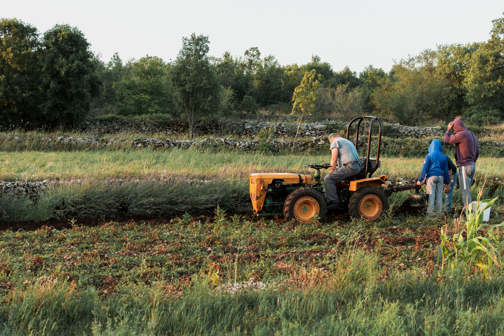 Land & Lot Clearing in Baldwin County What It Costs & Involves